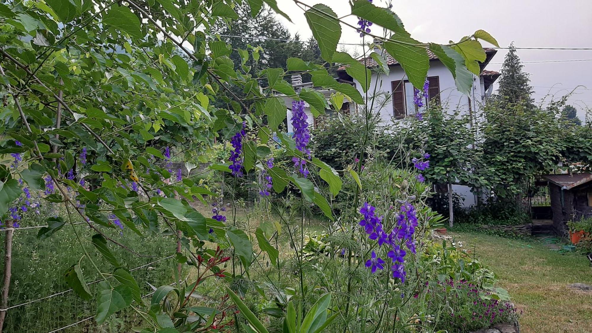B&B Al Mutpron Casale Corte Cerro Bagian luar foto