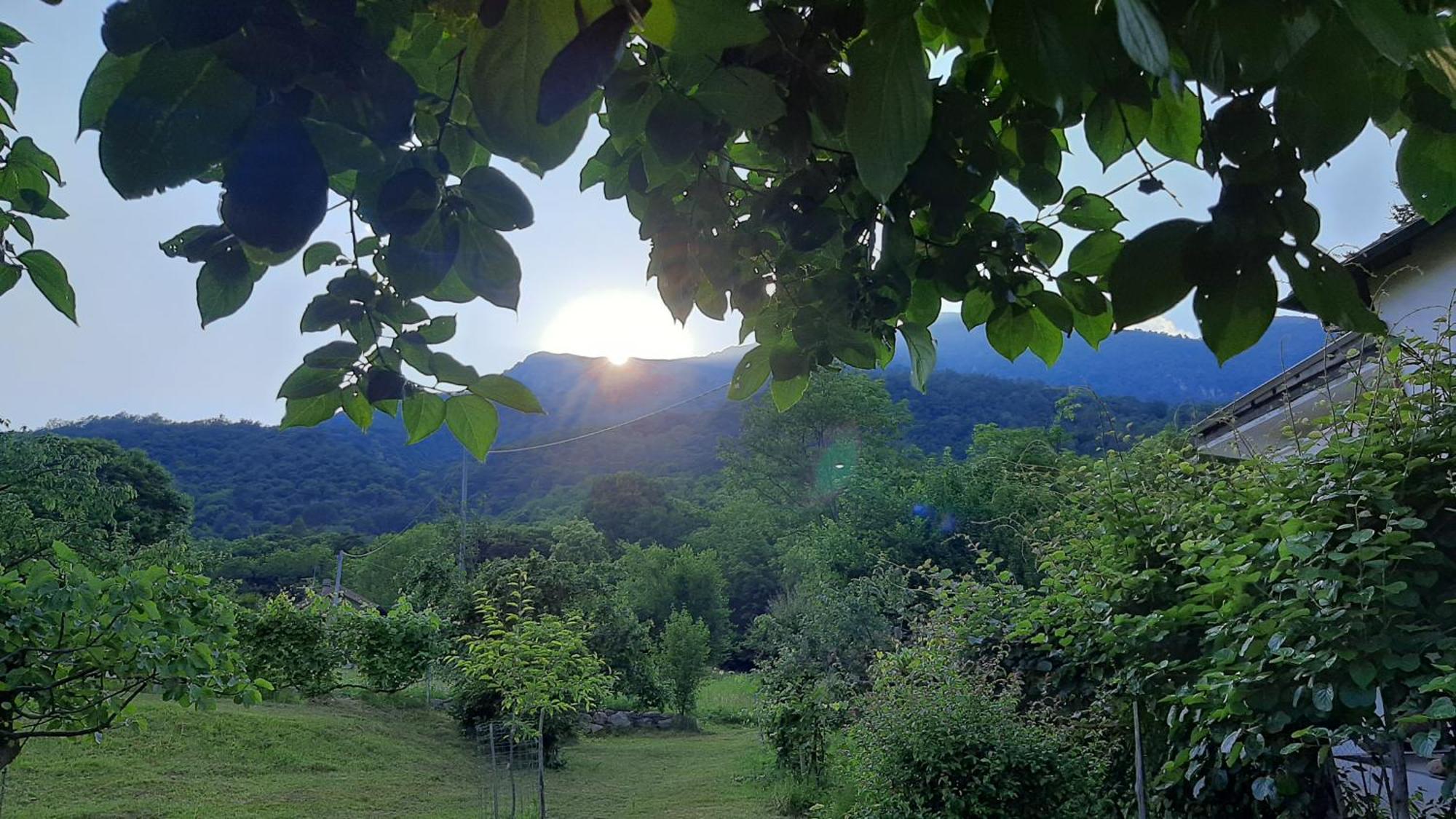 B&B Al Mutpron Casale Corte Cerro Bagian luar foto